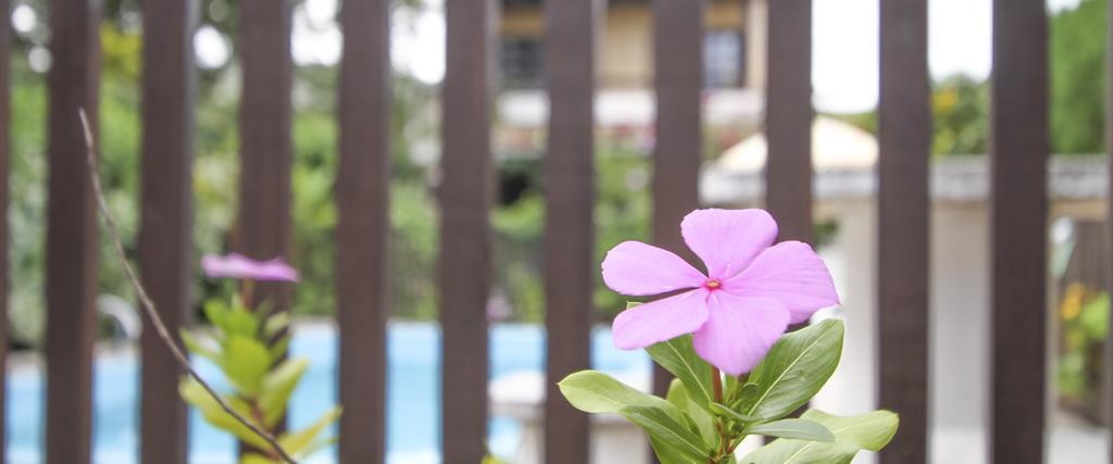 Pousada Marujo Florianopolis Ngoại thất bức ảnh